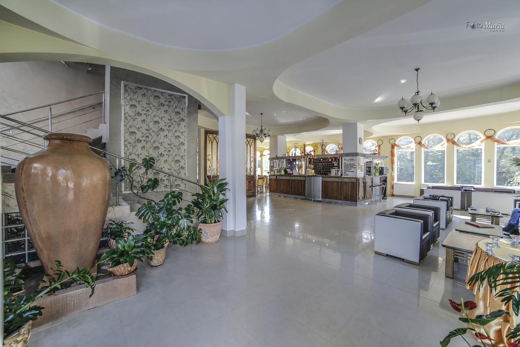 Hotel Golden Spirit Бэиле-Еркулане Экстерьер фото